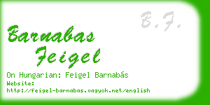 barnabas feigel business card